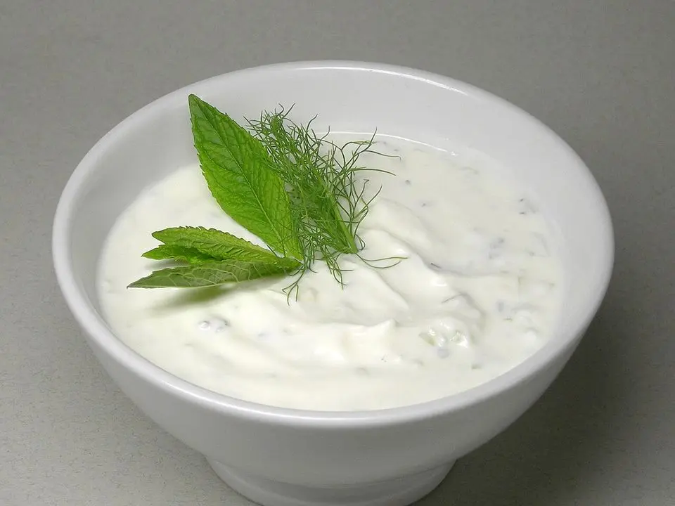 Photo of Tzatziki